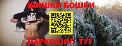 индика Можайск