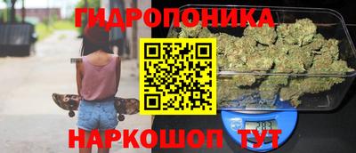 ГАЛЛЮЦИНОГЕННЫЕ ГРИБЫ Можга
