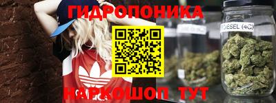 индика Можайск