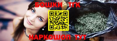 индика Можайск